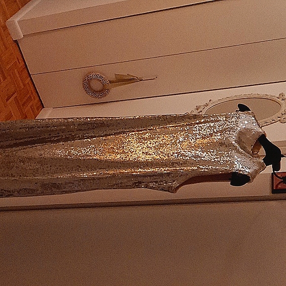 NWT Never Worn Sleeveless Silver Sequin Cocktail Cress! - Picture 2 of 15